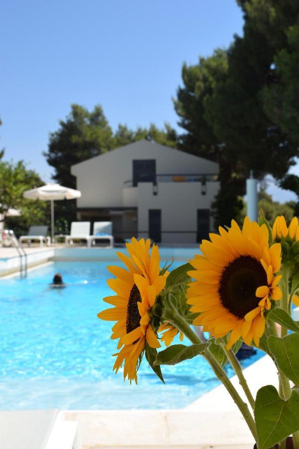Villa Pefki Chania  Exterior foto